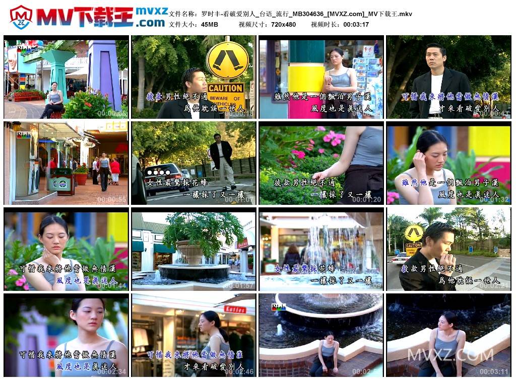 罗时丰-看破爱别人_台语_流行_MB304636